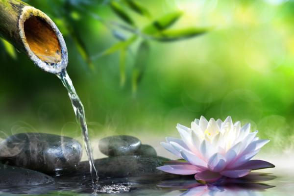 Flowing-Water-800-600x400 The Breath Psychologist