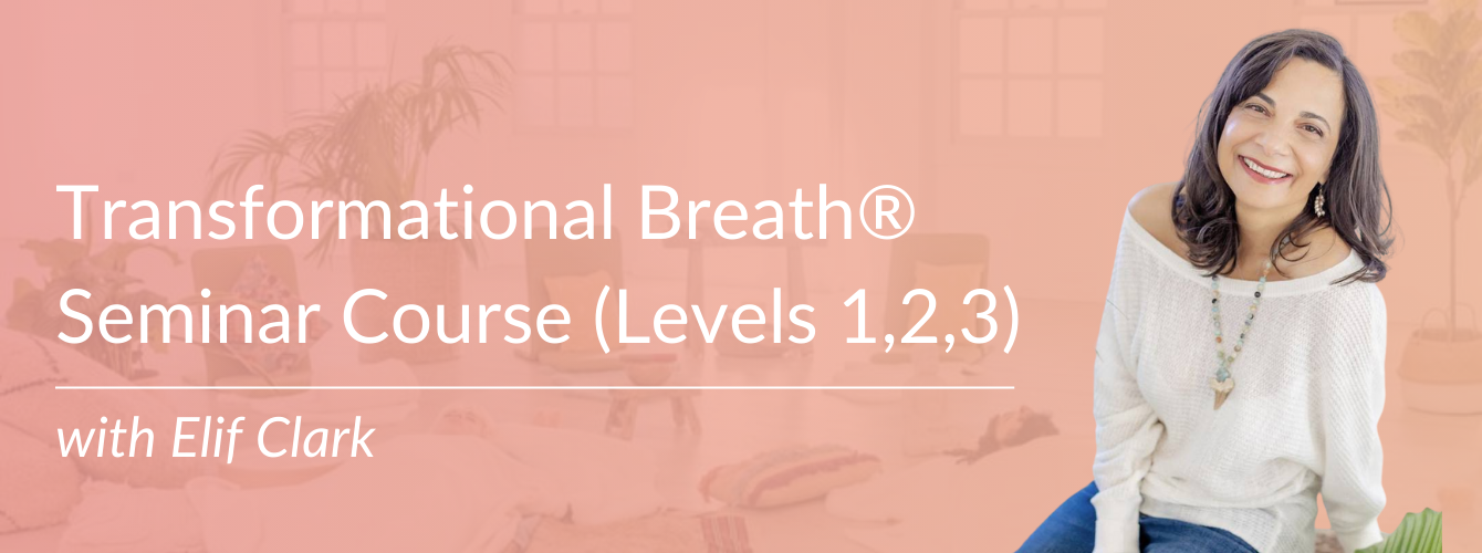 Levels 1,2 and 3